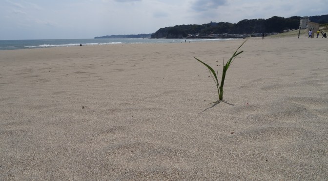 Taking a Writing Holiday