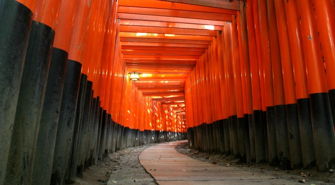 PAPER: Through the Eyes of the Fox