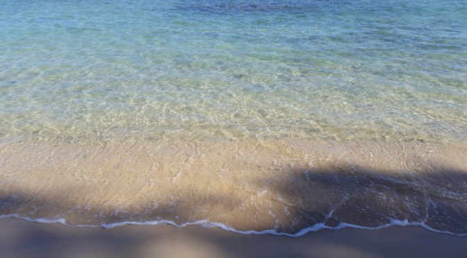 Long Overdue Update…